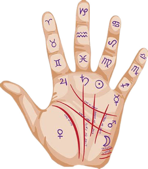 Detailed Palmistry hand with mount markings, lines and the zodiac