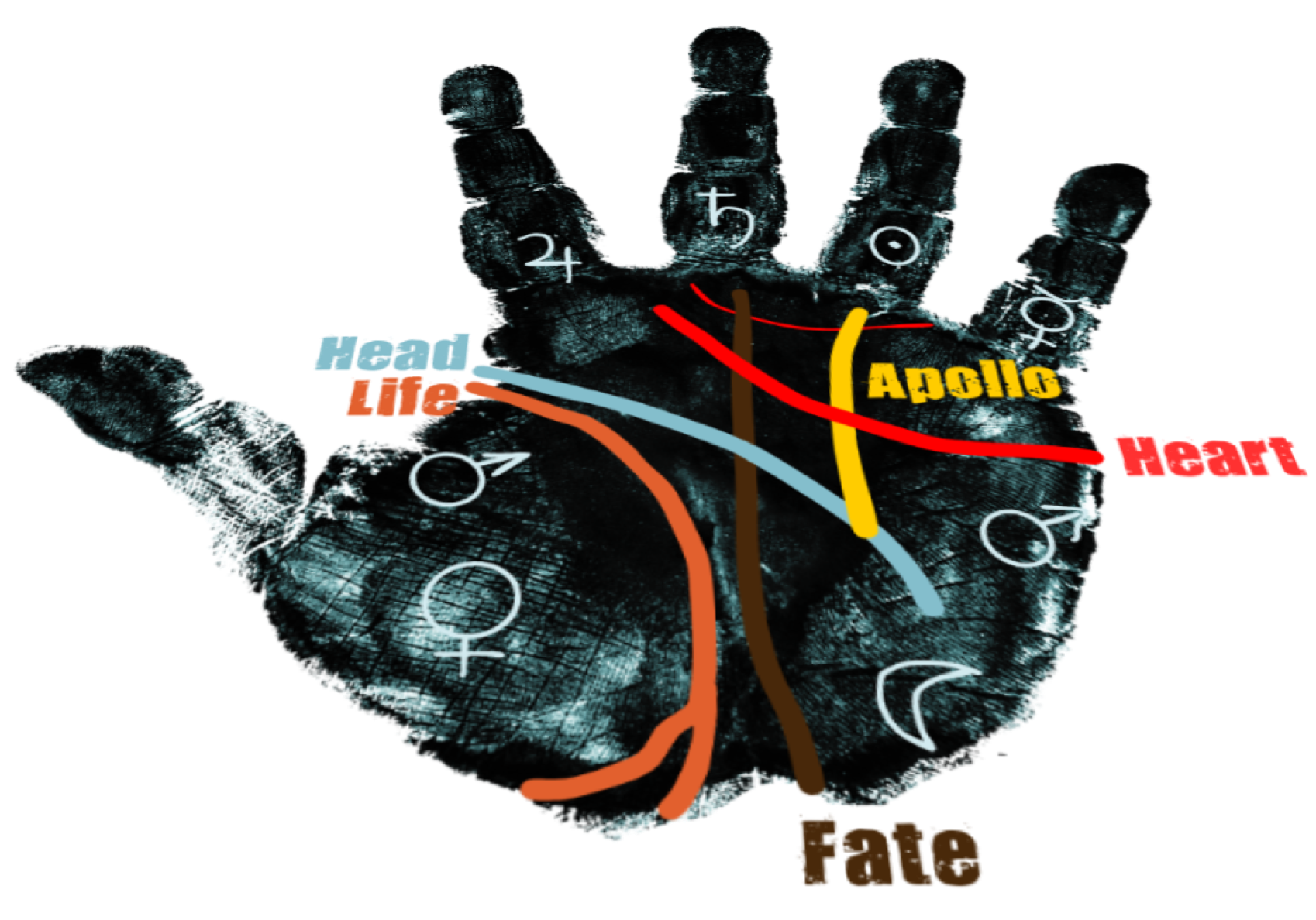 Palmistry hand makrked with the palmer lines and the planets